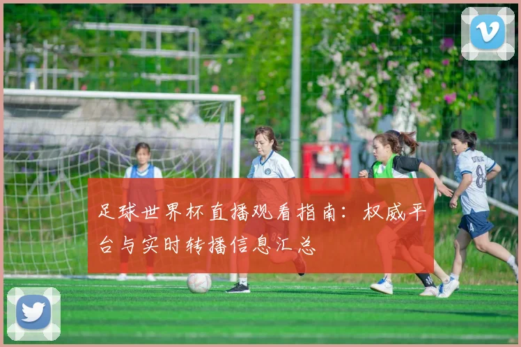 足球世界杯直播观看指南：权威平台与实时转播信息汇总
