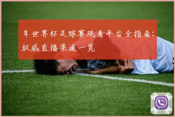 年世界杯足球赛观看平台全指南：权威直播渠道一览